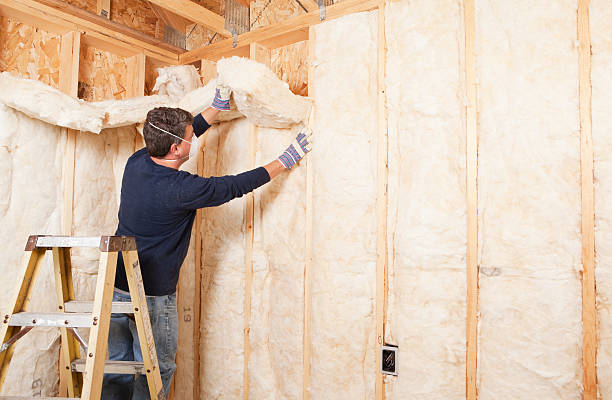 Insulation Air Sealing in Bass Lake, IN